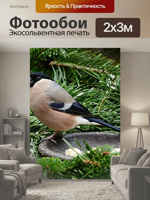 200 × 300 см · Экосольвентная печать