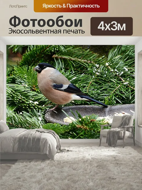 400 × 300 см · Экосольвентная печать