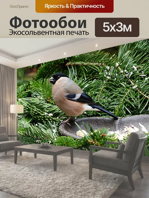 500 × 300 см · Экосольвентная печать