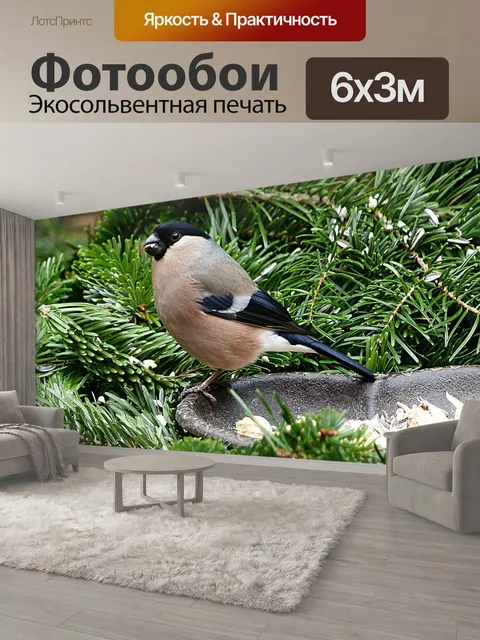 600 × 300 см · Экосольвентная печать