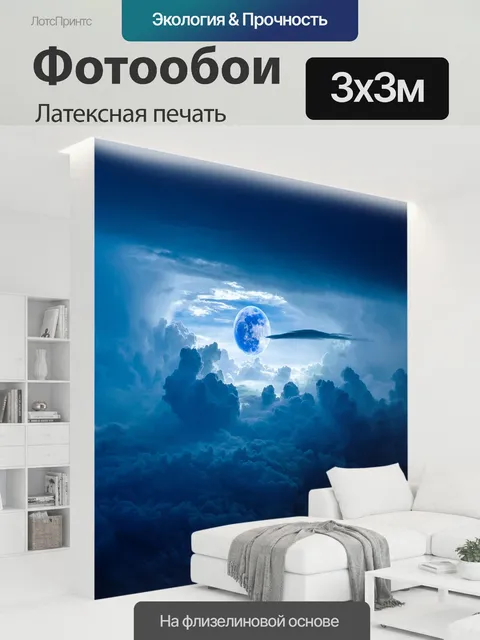 300 × 300 см · Латексная печать