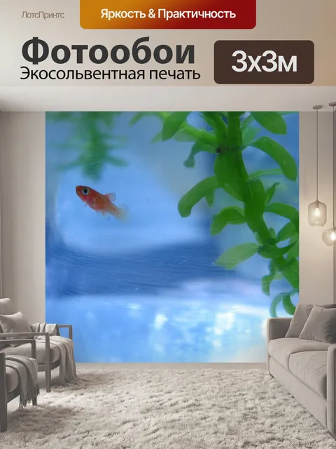 Фотообои Рыбы, домашний питомец, золотая рыбка
