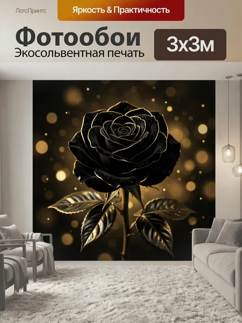Фотообои Черная роза с золотым контуром