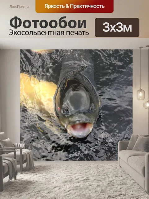 Фотообои Рыбы, карп, карась