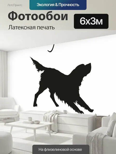 600 × 300 см · Латексная печать