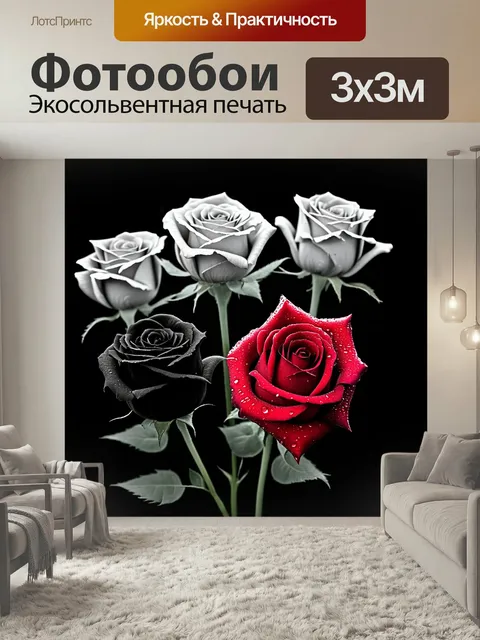 Фотообои Чёрно-белая фотография пяти черно-белых роз в росе, одна роза ярко-красного цвета, фантазийная композиция, ак…