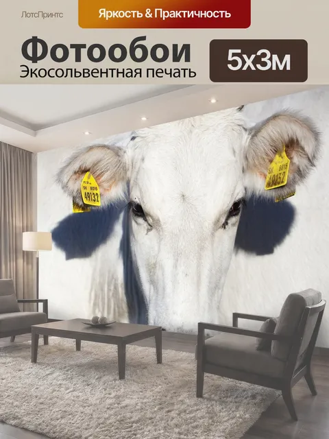 Фотообои Корова, коровы, белый