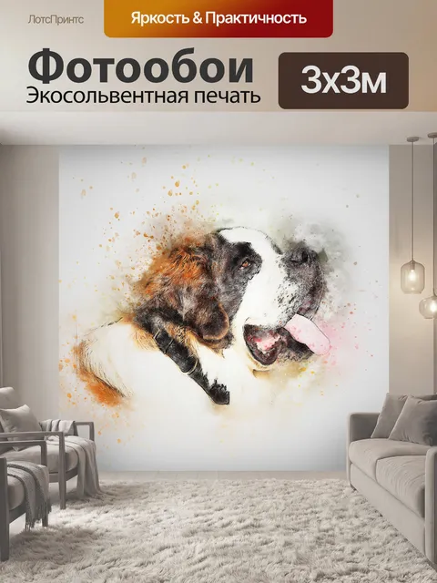 Фотообои Собака, сен-бернар, домашний питомец