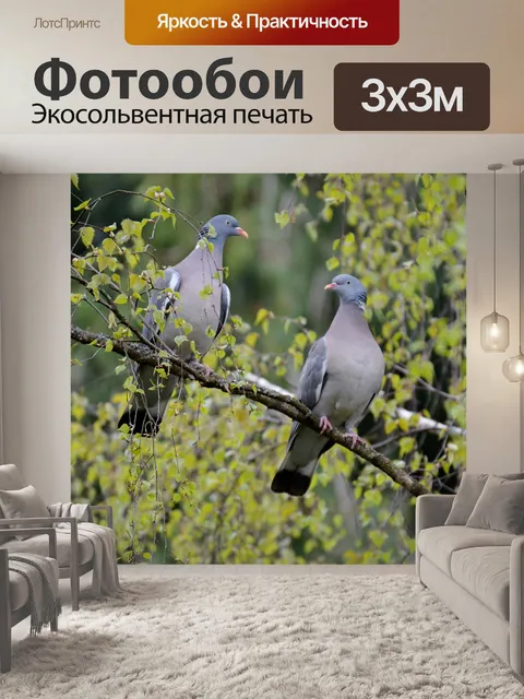 Фотообои Голуби, мало, птицы