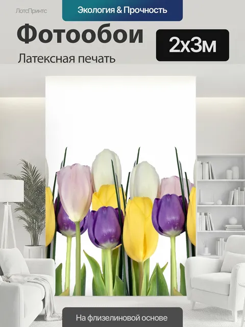 200 × 300 см · Латексная печать
