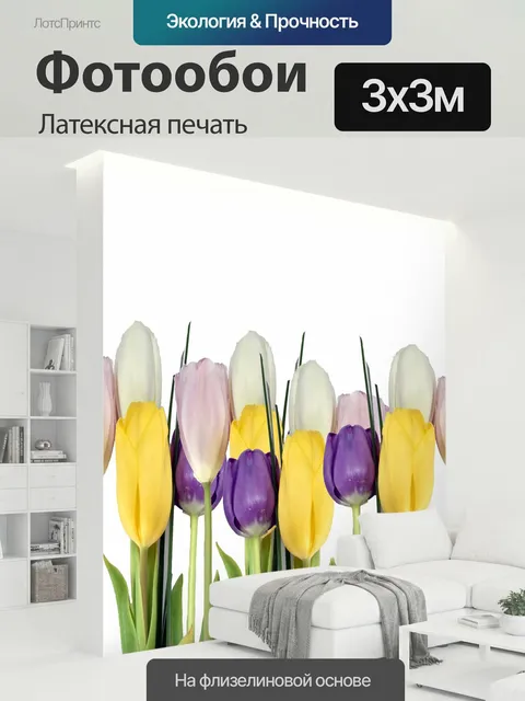 300 × 300 см · Латексная печать