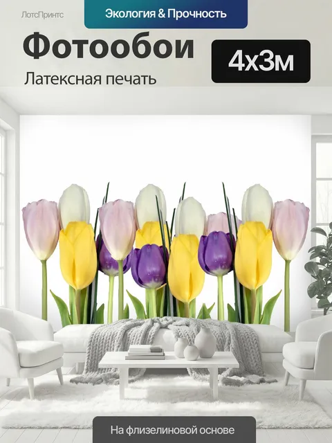 400 × 300 см · Латексная печать