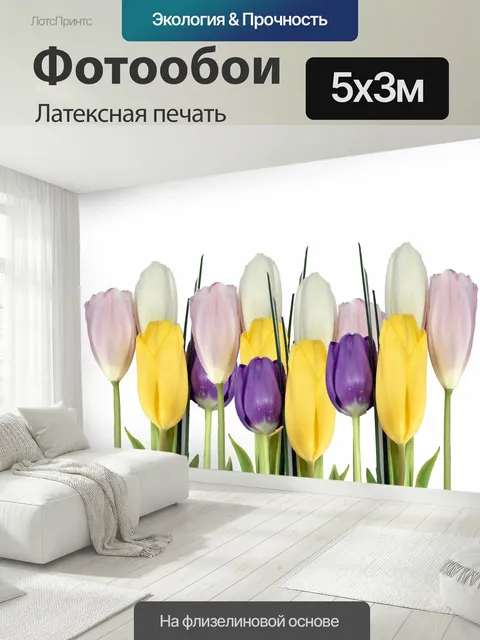 500 × 300 см · Латексная печать