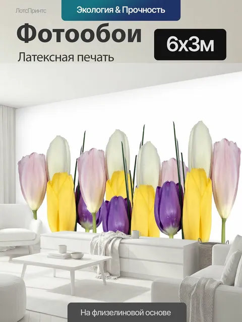 600 × 300 см · Латексная печать