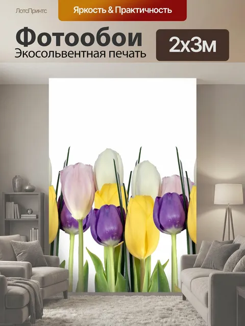 200 × 300 см · Экосольвентная печать