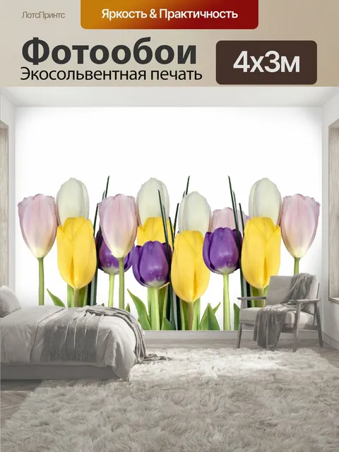 400 × 300 см · Экосольвентная печать