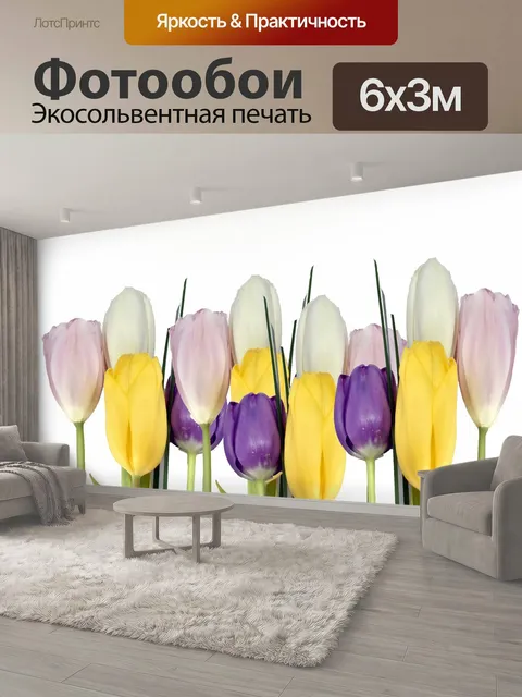 600 × 300 см · Экосольвентная печать