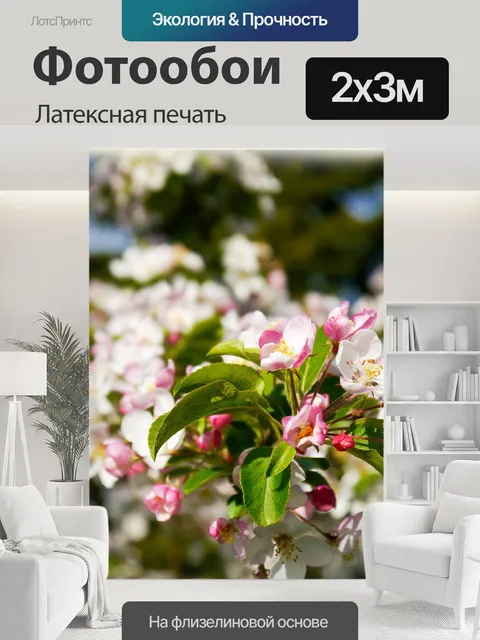 200 × 300 см · Латексная печать