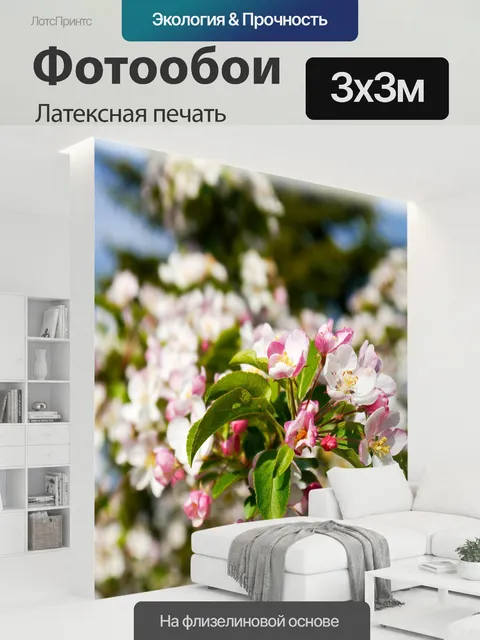 300 × 300 см · Латексная печать