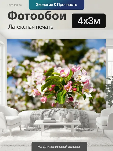 400 × 300 см · Латексная печать