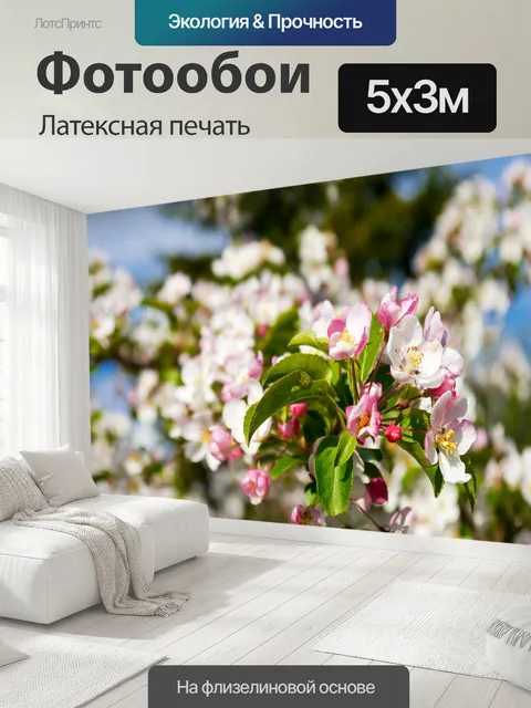 500 × 300 см · Латексная печать