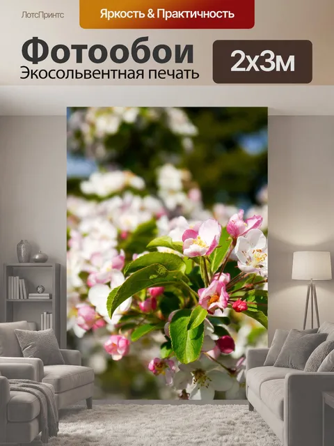 200 × 300 см · Экосольвентная печать