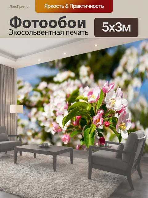 500 × 300 см · Экосольвентная печать