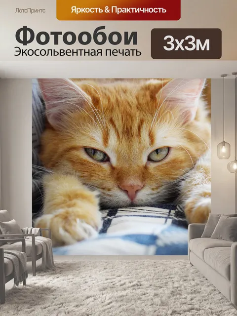 Фотообои Кошка, ру, кот
