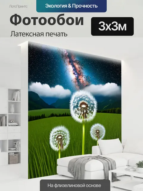 300 × 300 см · Латексная печать