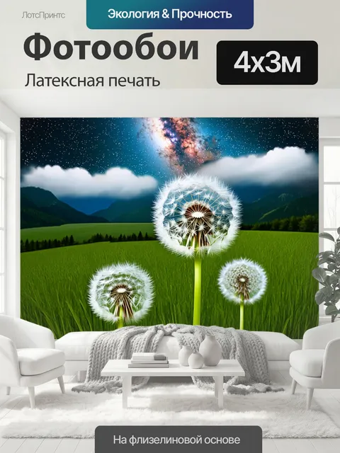 400 × 300 см · Латексная печать