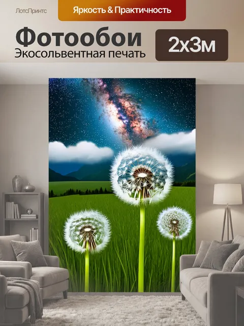 200 × 300 см · Экосольвентная печать