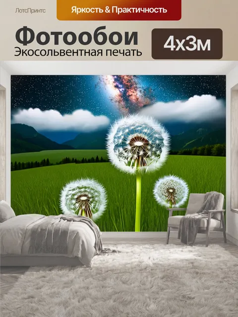 400 × 300 см · Экосольвентная печать
