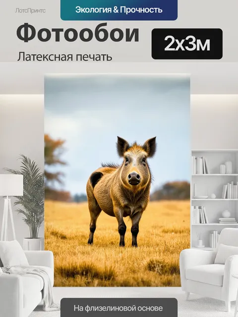 200 × 300 см · Латексная печать