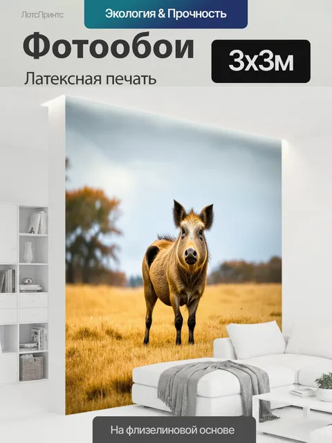 300 × 300 см · Латексная печать