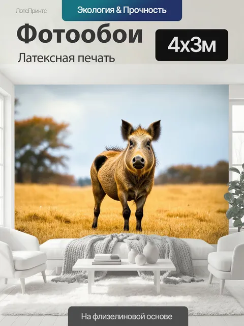 400 × 300 см · Латексная печать
