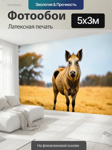 500 × 300 см · Латексная печать