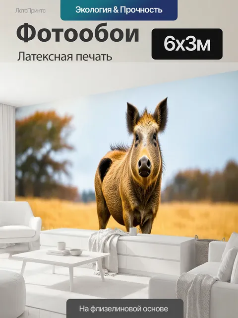 600 × 300 см · Латексная печать