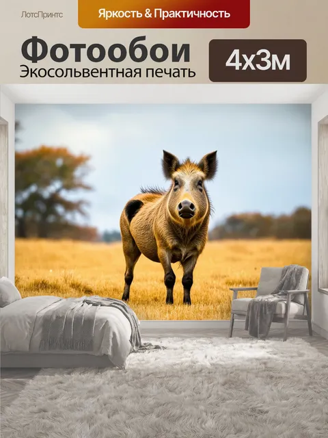 400 × 300 см · Экосольвентная печать