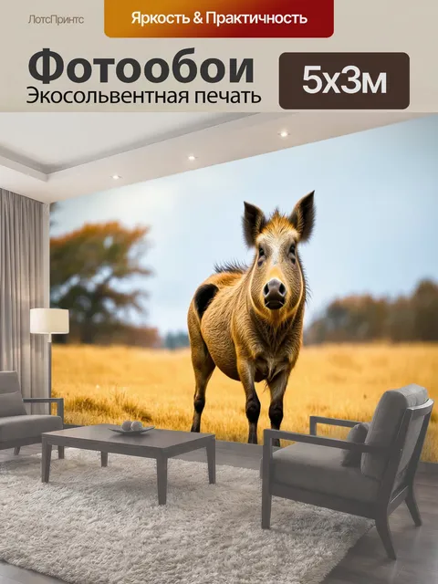 500 × 300 см · Экосольвентная печать