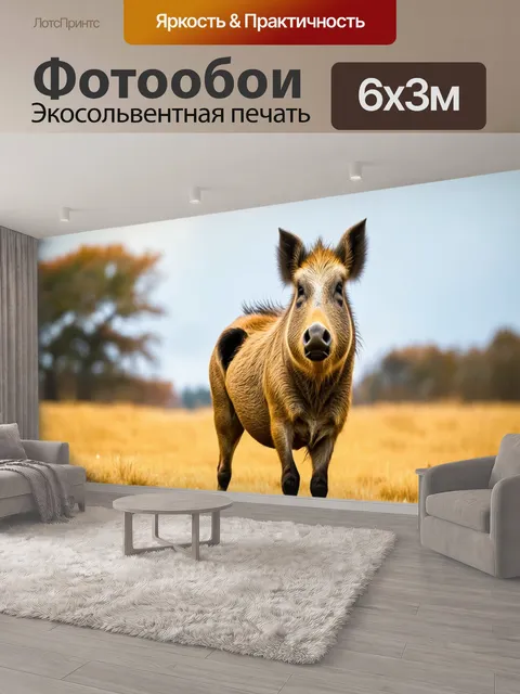 600 × 300 см · Экосольвентная печать