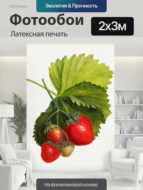 200 × 300 см · Латексная печать