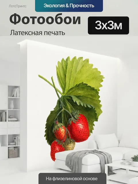 300 × 300 см · Латексная печать