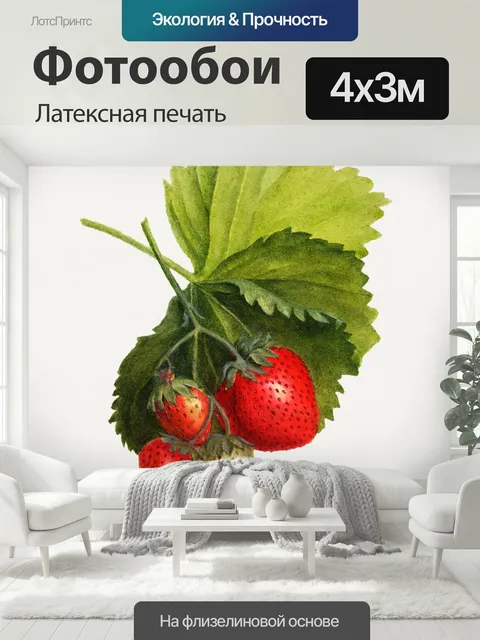 400 × 300 см · Латексная печать