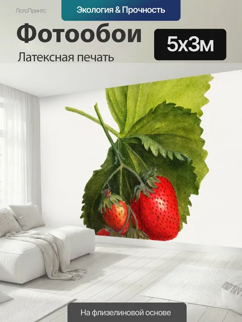 500 × 300 см · Латексная печать