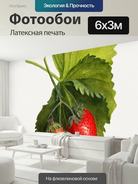 600 × 300 см · Латексная печать