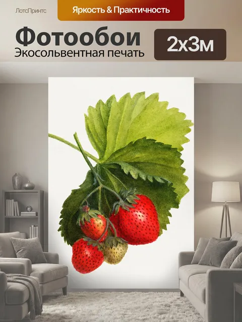 200 × 300 см · Экосольвентная печать