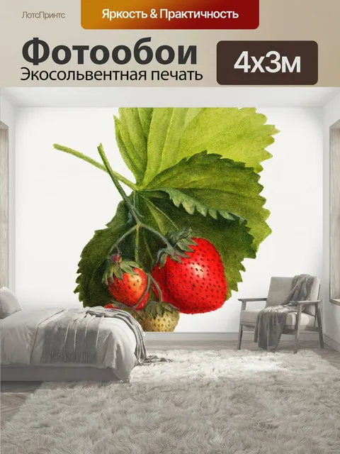 400 × 300 см · Экосольвентная печать