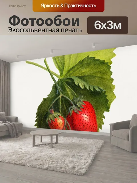 600 × 300 см · Экосольвентная печать