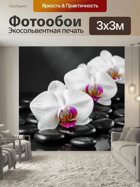 Фотообои Белые орхидеи на черных камнях. Элегантная флористическая композиция с нежными фаленопсисами, гладкой галькой…