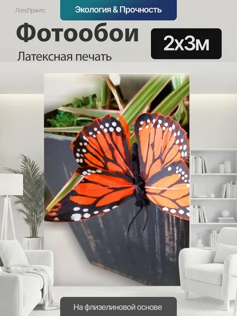 200 × 300 см · Латексная печать
